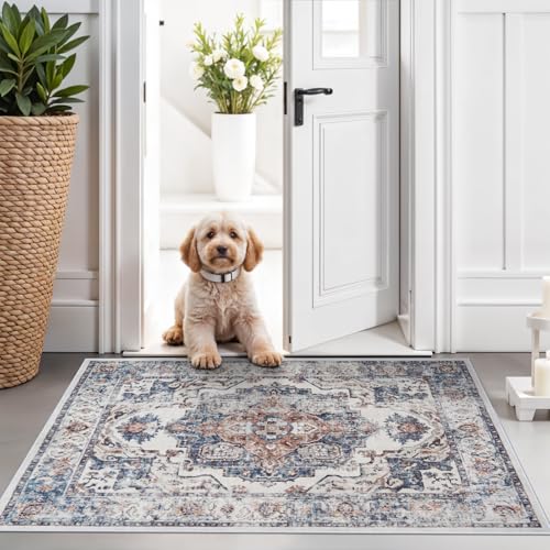 Hallway Washable Runner Rug - 2x3 Kitchen Rugs Entryway Rug Runner Vintage Soft Floor Mat Non Slip Indoor Farmhouse Carpet for Bathroom Living Room Bedroom (2 X 3, Brick)