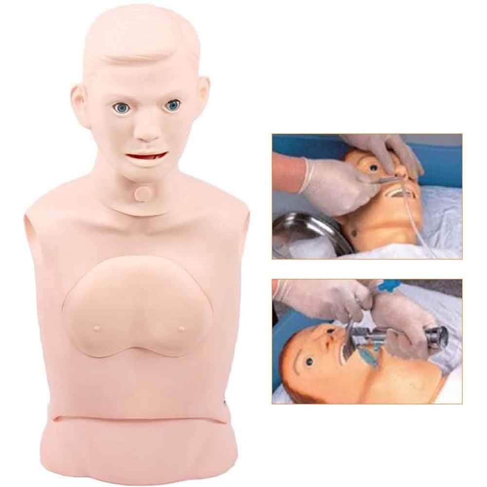 5-teiliges Trainingsmodell, multifunktionales Pflegemodell, menschliches anatomisches Modell, Patientenaufklärung für Schule und Bildung