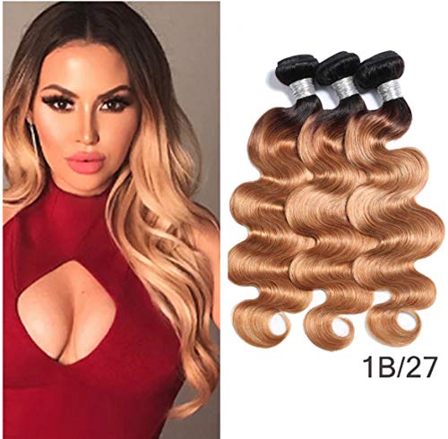 Dai Weier Meche Bresiliennes Blonde Tissage Body Wave Malaisien 3 Bundles Ombre 1B 27 Remy Human Hair Weave Extension 20 22 24 Inches