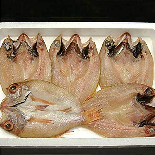 香住屋 幻の高級魚 のどぐろ一夜干し 110g前後 5枚セット