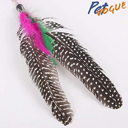 Image of PetVogue Colorful Feather Teaser with Bell and Exerciser Interactive Toy for Cat and Kitten (Multicolor)