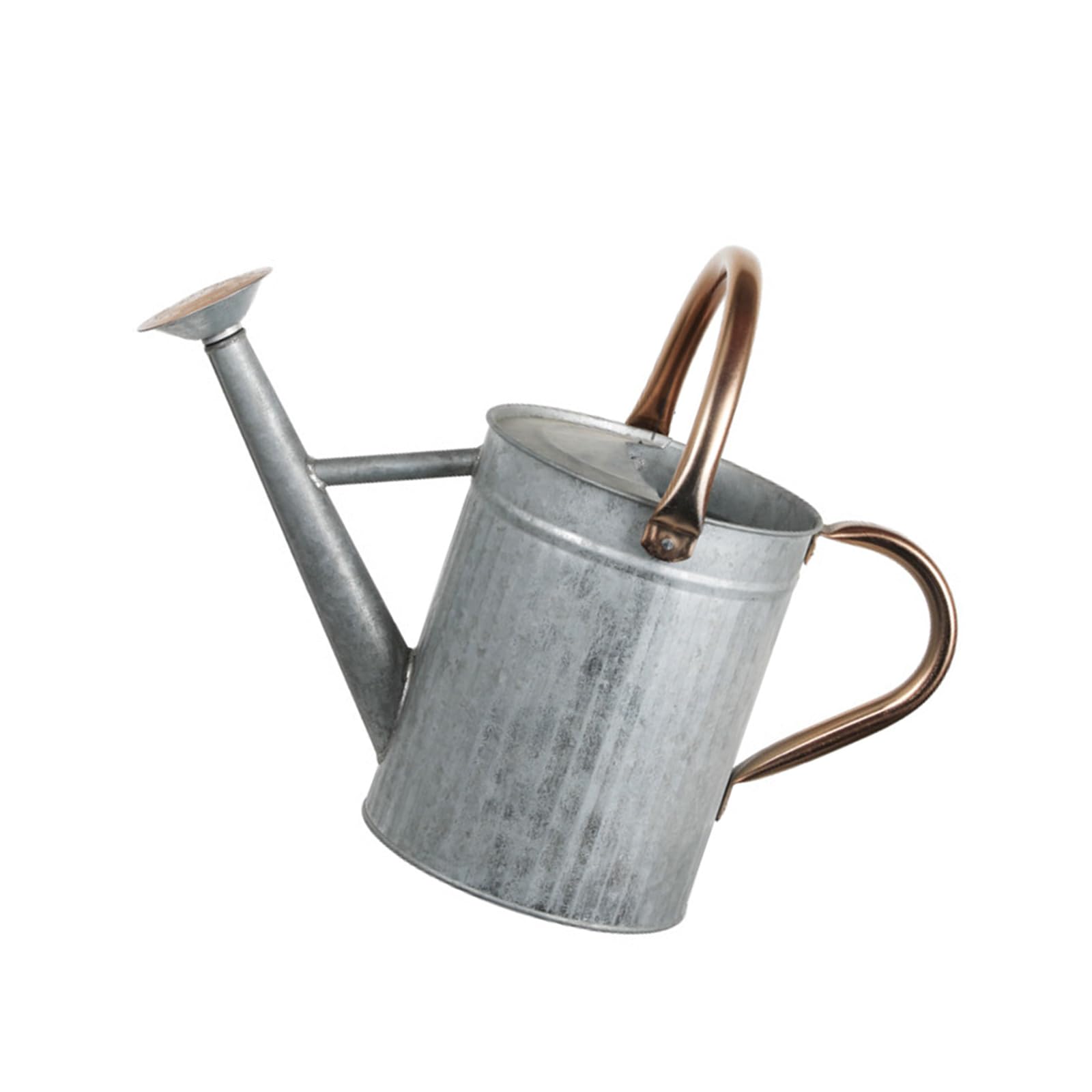 4L/5L Watering Can Indoor for House Plant Small with Long Spout Flower Model Sprinkler Indoor Plant Waterin for Houseplant and Garden