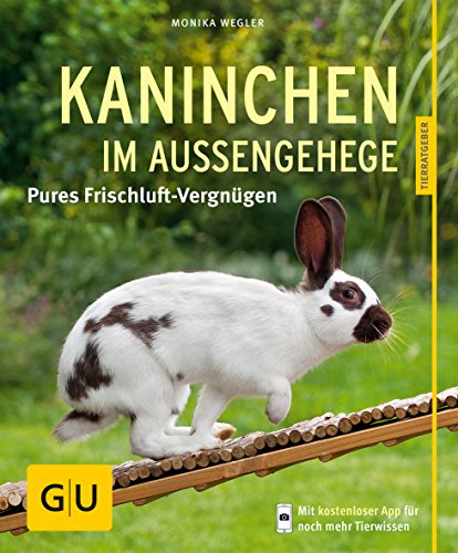 Kaninchen im Außengehege: Pures Frischluft-Vergnügen