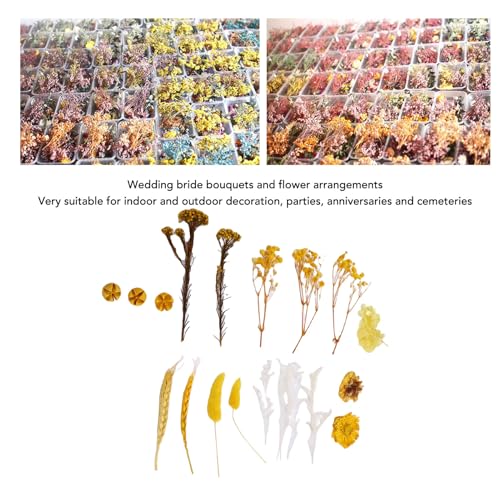 Paquete de ramos de flores secas para manualidades miniatura 4