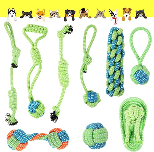 FRCOLOR Hundespielzeug Baumwollseil Biene | Beißfestes Kauspielzeug Für Welpen & Hunde