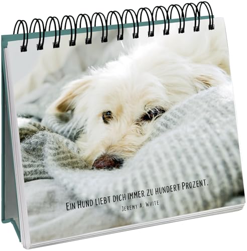 Für Hundefreunde: Rührende Hundefotos und bewegende Zitate über den besten Freund des Menschen | Schönes Geschenk für Hundebesitzer (Geschenke für Hundeliebhaber)