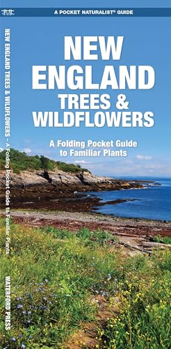 New England Trees & Wildflowers (Nature Observation North America)