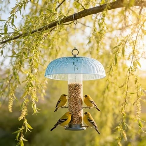 Cúpula transparente para comederos de pájaros y protección de estaciones de jardín 4