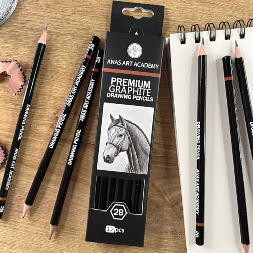 Image of 2B Premium Graphite Drawing Pencils - 12 pcs | Professional Art Drawing Pencils for Shading, Sketching & Doodling | Graphite Pencil for Artists & Beginners