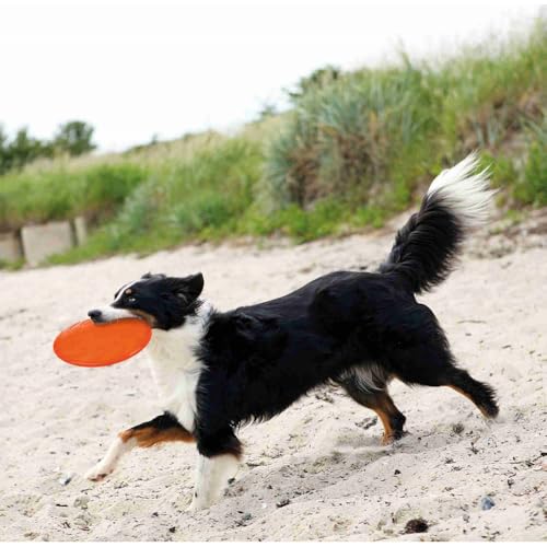 TRIXIE Dog Disc - Robustes Hundespielzeug aus TPR zum Apportieren - ø 22 cm, Hunde-Frisbee - 33506