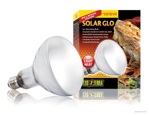 Exo Terra 125-Watt Exo Terra Solar-Glo High Intensity Self-Ballasted Uv/Heat Mercury Vapor Lamp thumb #2