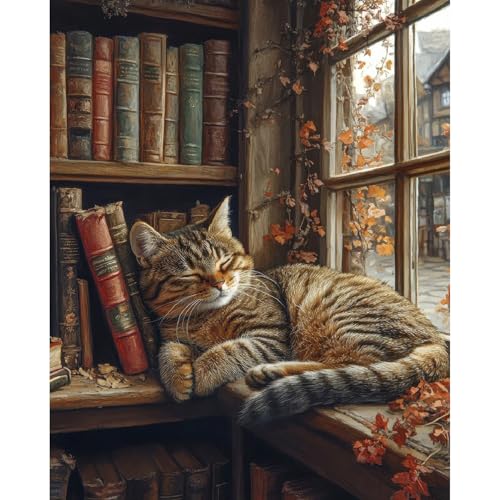 Pintura por números kit de gato regalo creativo para adultos lienzo acrílico fácil de pintar