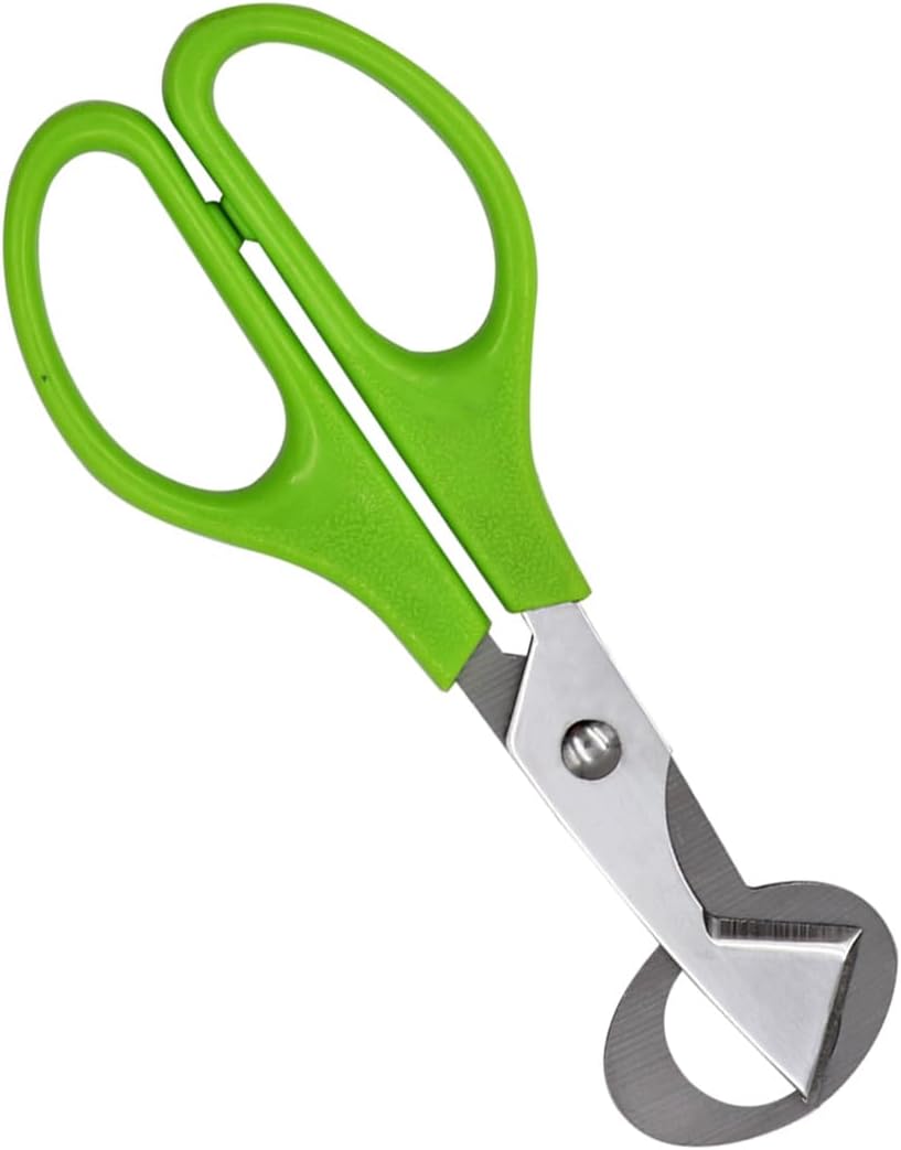 Green Quail Egg Opener Scissor Stainless Steel Kitchen Egg