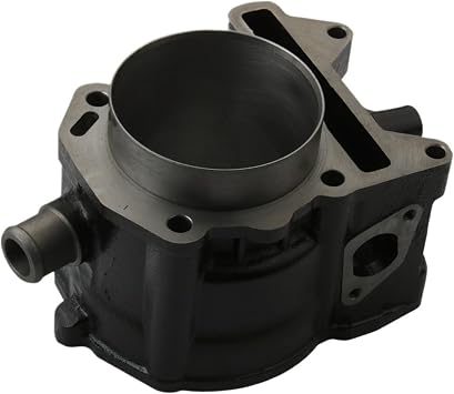 75mm Beverly300 Cylinder Kit Compatible with Piaggio Beverly Carnaby Cruiser MP3 X7 300cc 876457 4T Engine Parts