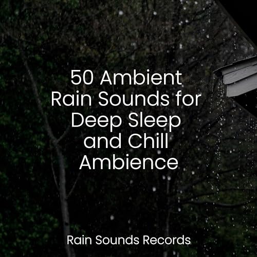 Play 50 Ambient Rain Sounds for Deep Sleep and Chill Ambience by Rising ...