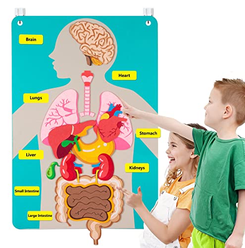 Image of Craftstory Teaching Body Parts Felt Board Stories for Toddlers, Arts Crafts Toys for Kids Sensory Activities Teacher Daycare Supplies