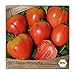 Samenliebe BIO Fleischtomaten Samen alte Sorte Ochsenherz Coeur du Boeuf längliche und herzförmige Tomate rot 10 Samen samenfestes Gemüse Saatgut für Gewächshaus Freiland und Balkon BIO Gemüsesamen