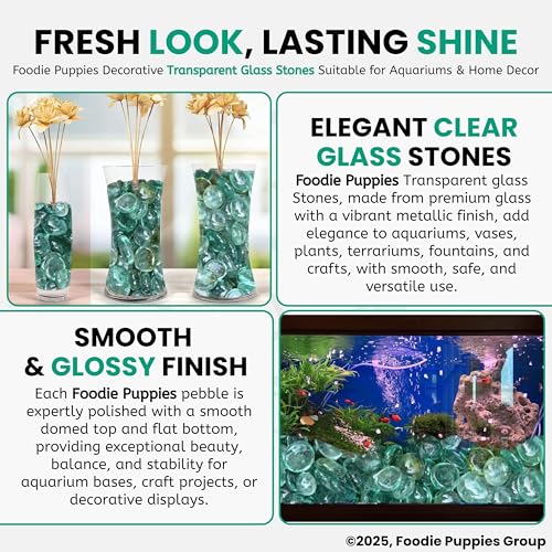 Image of Foodie Puppies Glass Pebbles Stones (Transparent, 900gm) (2cm - 2.5cm) for Decoration of Garden Plants Pots Fish Aquarium Table Small Crystal Clear White Flat Decorative Vase Filler Marbles