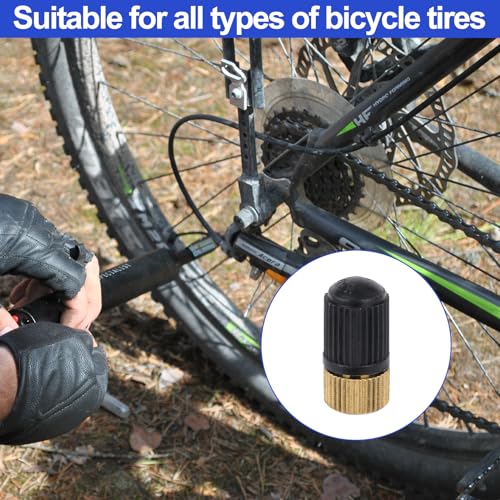 image for Brass Presta Valve Adapter to Convert Presta to Schrader and Inflate T