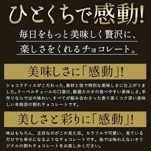 大浜スイーツアカデミー 福袋割れチョコ 1kg