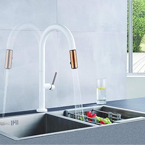 Pomme de douche double fonction pour robinet mitigeur de cuisine noir