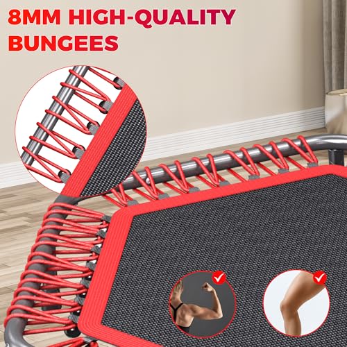 Image of 40 inch /48 inch Rebounder Trampoline for Adults with Bungee Cords, Exercise Rebounder for Adults Indoor /Outdoor Workout, Max Load 450 /550 LBS