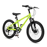 RoyalBaby Mountain Bike for Adventurous Kids