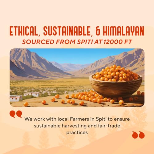 Image of My Pahadi Dukan Dried Sea Buckthorn Berries 250g, Himalayan Superfood, Rich in Vitamin C, Omega 3 6 7 & 9, Boosts Immunity, Skin & Heart, No Additives, Seabuckthorn Dry Berries