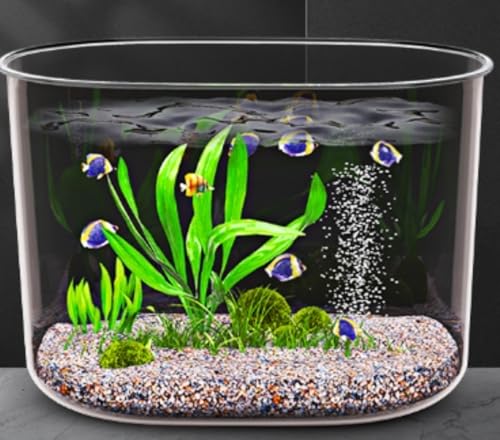 YIJOFU ���� ���r���O �~�j ���^ ���^ �ƒ�p ���� ���� �J�� ��� �ԕr