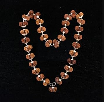 GtcGems Silver Rudraksha Mala for Men Gauri Shankar Rudraksha Original CertifiedRated Mala Blessed by Lord Shiva & Maa Parvati