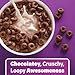 Kellogg's Cocoa Loops Breakfast Cereal, Good Source of Fiber, Made with Cocoa, Family Size, 16.6oz Box (1 Box)