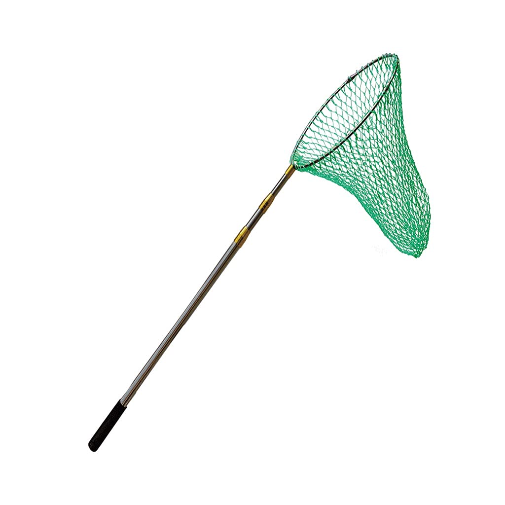 ebay g loomis glx fly rod G.Loomis Fishing Rods Fly Fishing Rod 10 wt Line Weight & Poles for sale
