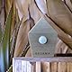 Vogelgezwitscher Dejama Bewegungsmelder Singing Box Motion Sensor Vogelgeräusche