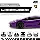 CMJ RC CARS Lamborghini LP700-4 ferngesteuertes ferngesteuertes Auto, offizielles Lizenzprodukt, Maßstab 1:24, Arbeitsscheinwerfer, 2,4 GHz, tolles Kinderspielzeug, Auto (lila)
