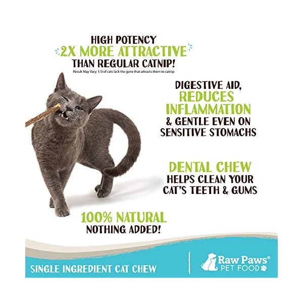 Raw paws silvervine for cats (30-ct) - silvervine cat toys for indoor cats - catnip sticks - matatabi cat chew stick - silvervine sticks for cats, silver vine sticks cat kicker toy, cat toy silvervine - image 3