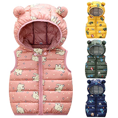 Toddler Boys Girls Dinosaur Sleeveless Coat Vest Kids Lightweight Windproof Bear Ears Hooded Puffer Jacket Winter Down2