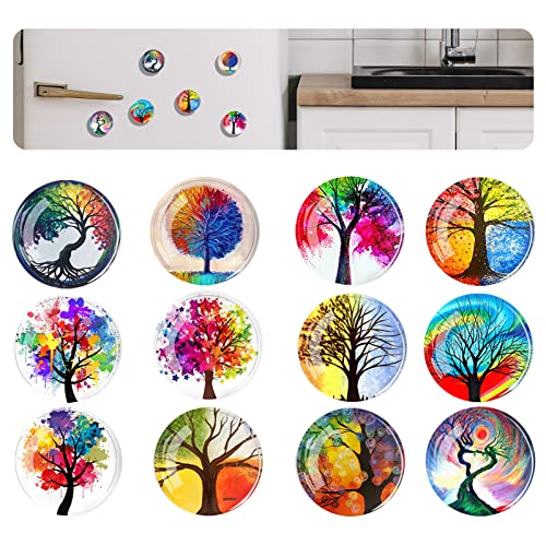 FuninCrea 12 Magneti per Frigorifero a Farfalla