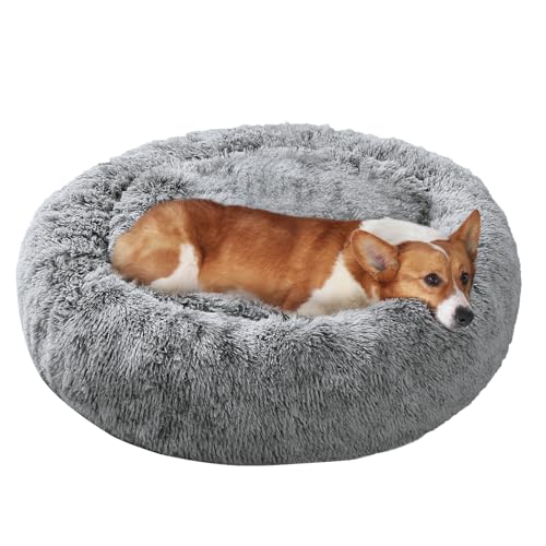 Image of JOLLYVOGUE Dog Bed, Calming Anti-Anxiety Large Dog Bed, Fluffy Donut Cushion for Medium and Large Pets (27 inch /30 inch /36 inch)