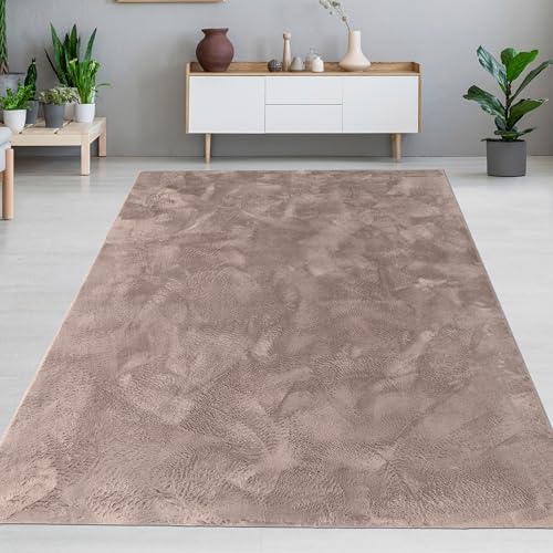 CARPETIA Tapis de salon et de chambre à coucher moderne à poils courts, aspect fourrure, doux, agréable avec une légère brillance, facile d'entretien,...