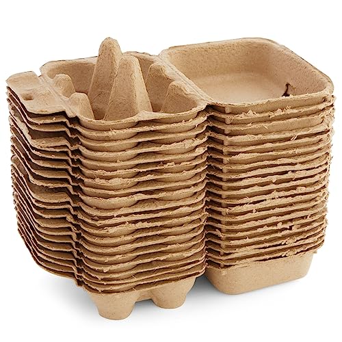 Okuna Outpost 20-Pack Half Dozen Egg Cartons with 25 Farm Fresh Egg Labels, Reusable Egg Tray Holder, Family Farm Market Travel Egg Storage Containers (6.2x4.5x2.8 in, Brown)