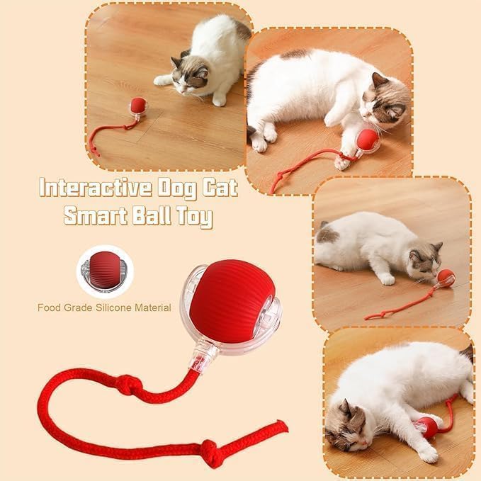 Image of Pet Intelligent Rolling, Interactive Cat Toys, Activity Rolling Ball for Dogs, Motion Activated Automatic Moving, Electric Cat Toy Ball Rechargeable for Large Small Dogs (Green)