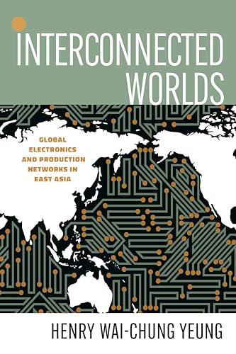 Interconnected Worlds view 2
