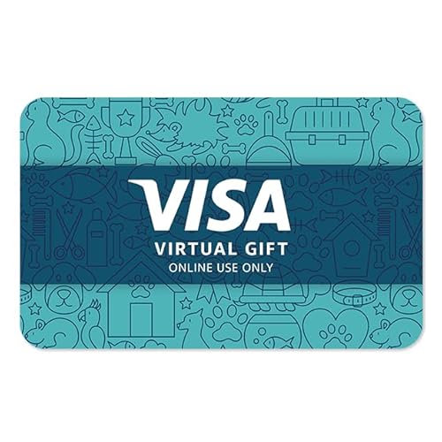 Visa Virtual $100 eGift Card (plus $5.95 Purchase Fee) - For Online Use Only