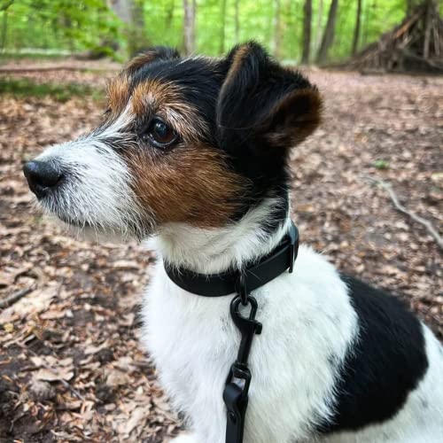 Sniffls Premium Dog Collar Black - Very Small Dogs (XS) - Adjustable, Water-Repellent, Lightweight, Robust - Image 2