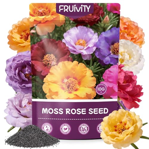 Fruivity Moss Rose Seeds for Planting 24 000+ Annual Flower for Ground Cover Flower Seeds Perennial Variety Easy to Grow Portulaca Seeds to Plant Outdoors Garden Containers