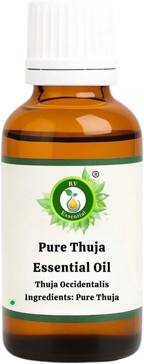 R V Essential Pure Thuja Essential Oil 30ml (1.01oz)- Thuja Occidentalis (100% Pure and Natural Steam Distilled)