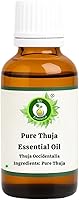 Vista 1 de Aceite esencial de Thuja puro R V - Thuja Occidentalis (100% puro y natural destilado al vapor)