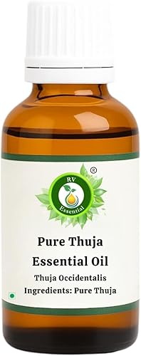 Aceite esencial de Thuja puro R V - Thuja Occidentalis (100% puro y natural destilado al vapor)