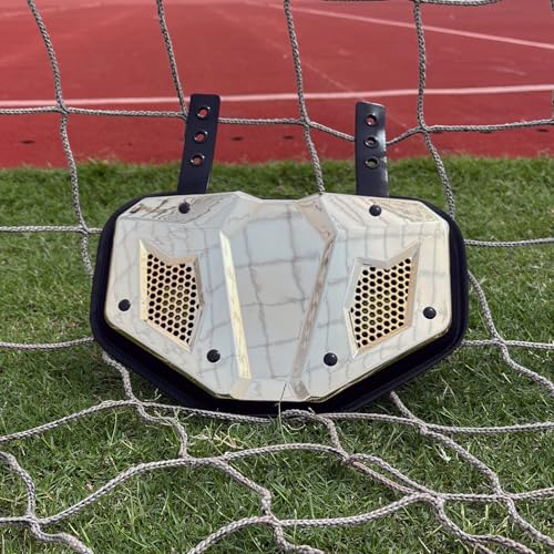 LeCool Football Back Plate - Lower Back Protection for Shoulder Pads - Hard Shell and Contoured Foam, Youth to Adult(Chrome Glod)