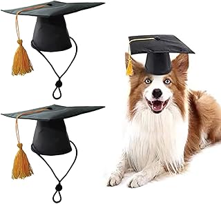 Pet Graduation Caps Hat Mini Bachelor Hats with Tassel Graduation Photo Props Holiday for Dogs Cats 2PCS